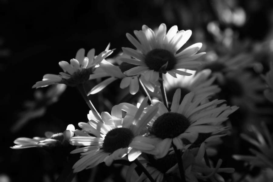 2012 10 16 9999 74ebw